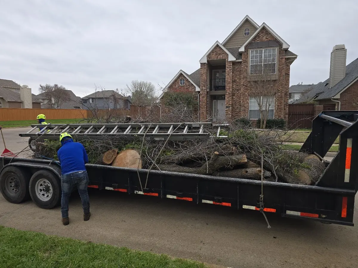 Expert Crown Reduction with proper safety equipment in Osburn